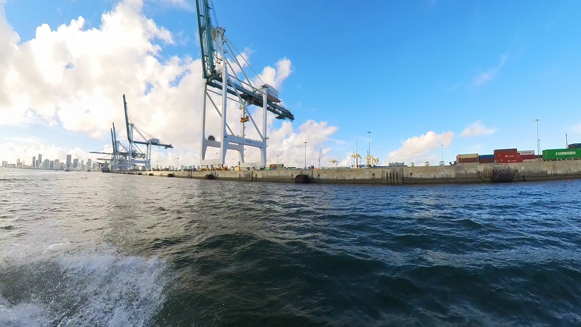 Gantry cranes tower over the water.
